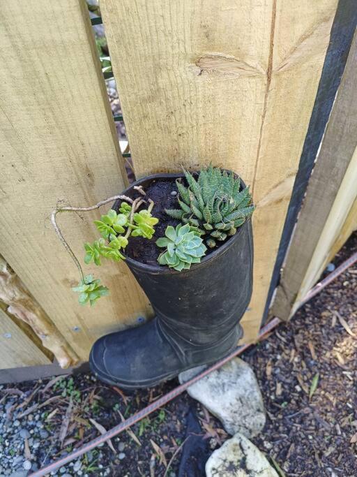 Gumboot Paradise Eco Stay Barrytown Exterior photo